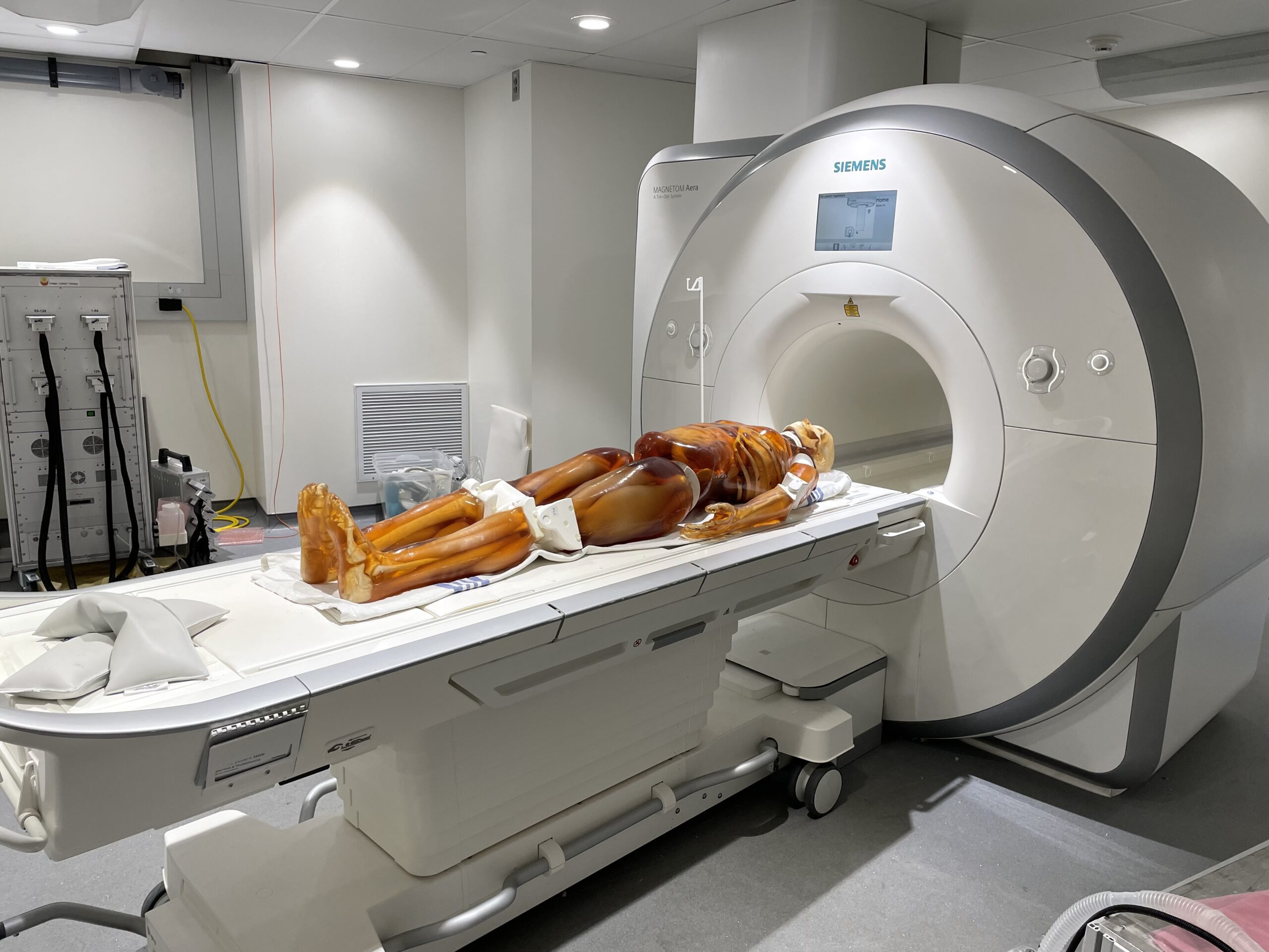 Adult Full Body Phantom for MRI, X-Ray CT by True Phantom Solutions