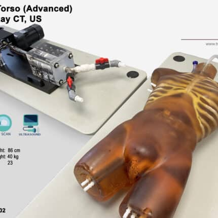 Advanced Torso Phantom for radiography, X-Ray, CT, MRI, Ultrasound, US