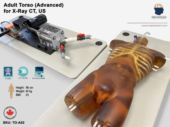 Advanced Torso Phantom for radiography, X-Ray, CT, MRI, Ultrasound, US