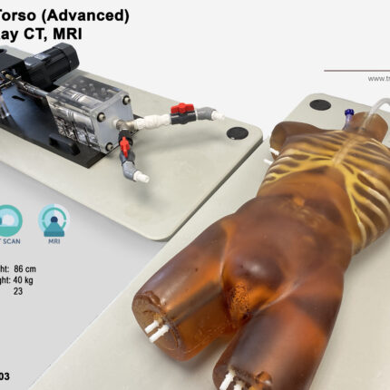 Torso Phantom with beating heart for Radiography X-Ray, CT, MRI, US, ultrasound