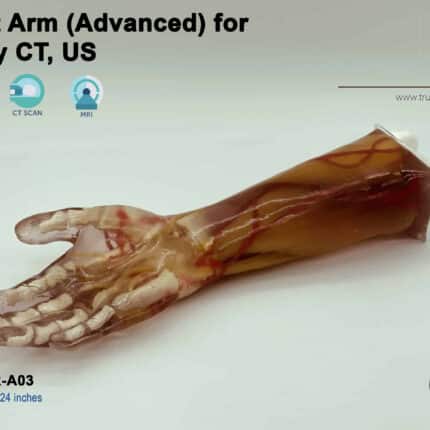 Adult Arm Phantom compatible with X-Ray CT and Ultrasound