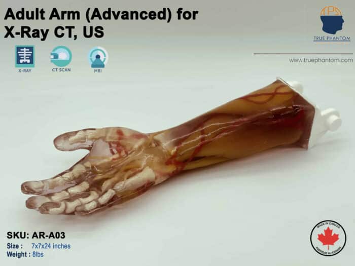 Adult Arm Phantom compatible with X-Ray CT and Ultrasound