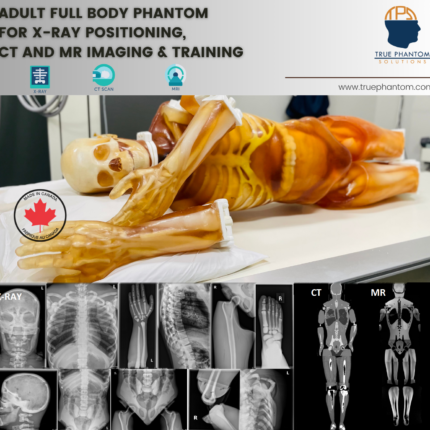 Adult Full Body for X-Ray CT, MRI by True Phantom Solutions