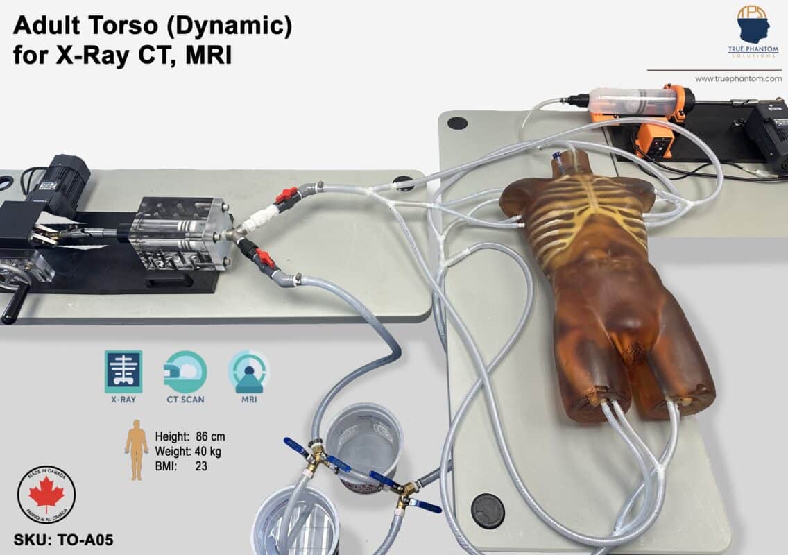 Torso Phantom for Radiography X-Ray, CT, MRI, US, ultrasound