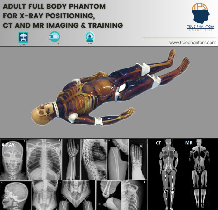 Adult Full Body for X-Ray CT, MRI by True Phantom Solutions