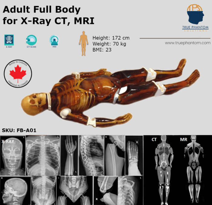 Whole Body Radiology Test Phantom Banner TPS