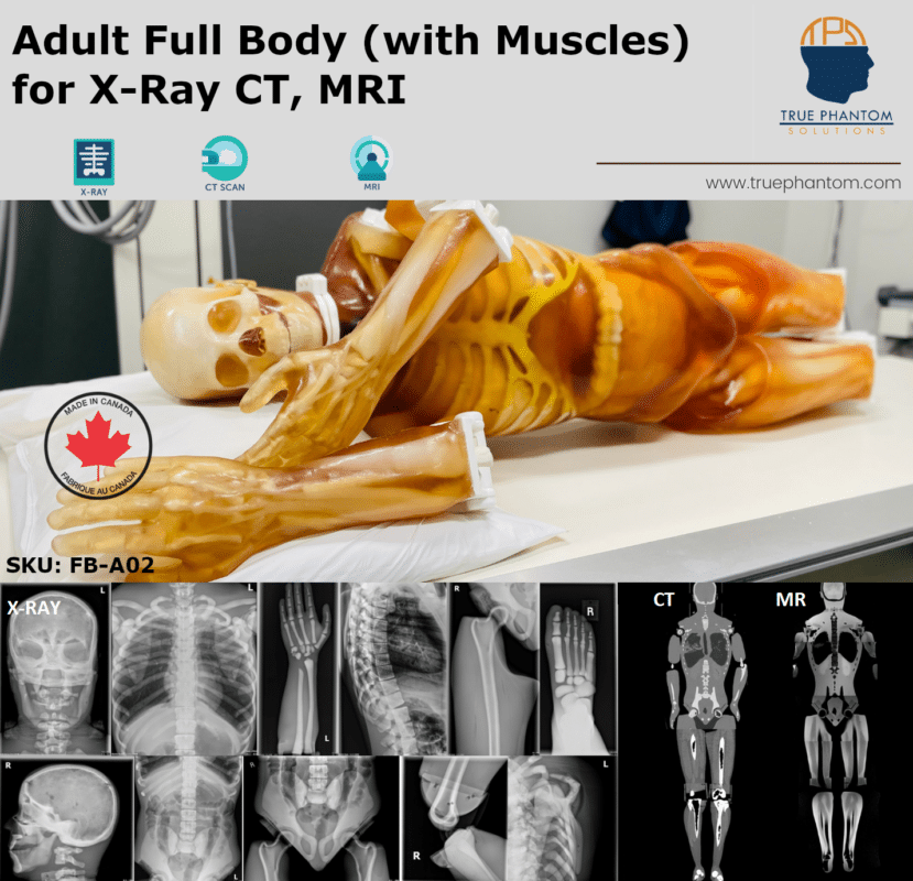 Adult Whole Body Test Phantom for Radiography, X-Ray, Ultrasound, US, MRI, CT