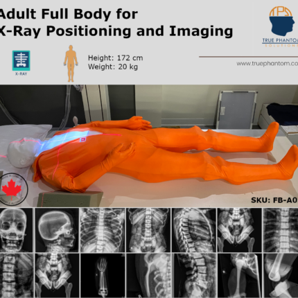 Adult Full Body for X-Ray Radiography training positioning test phantom