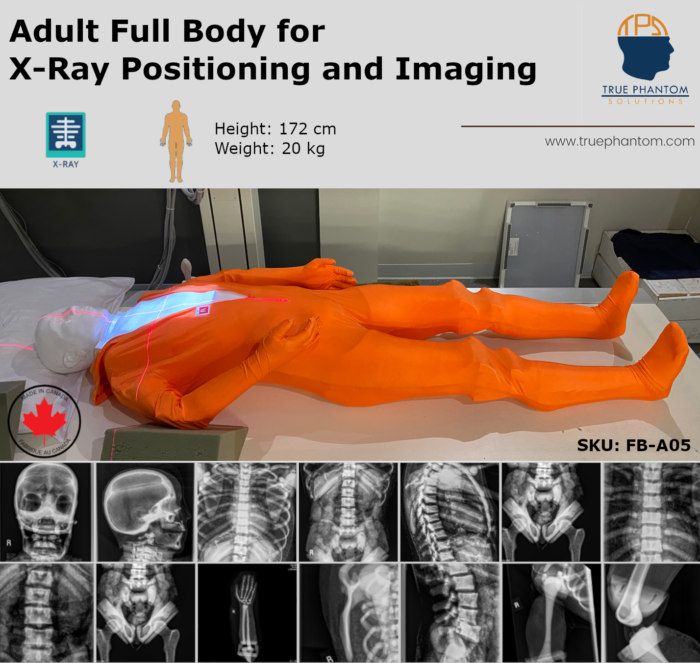 Adult Full Body for X-Ray Radiography training positioning test phantom