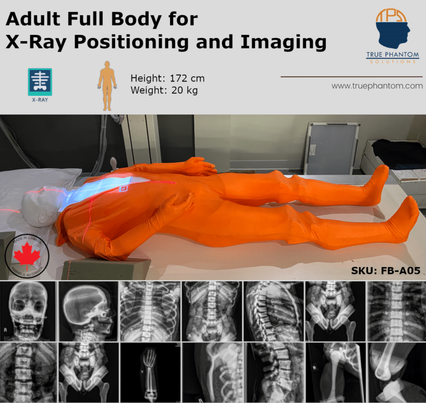 Adult Full Body for X-Ray Radiography training positioning test phantom